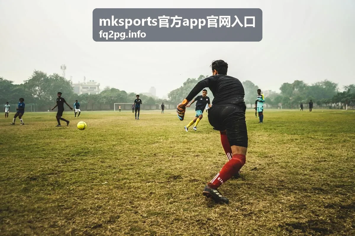 mksports官方app官网入口 赛事数据与功能说明中的统计模块示意