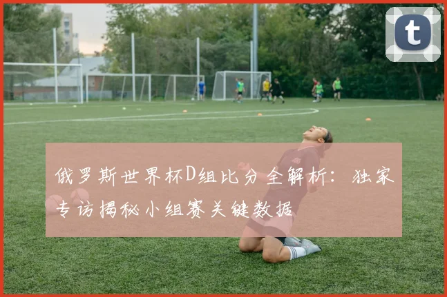 俄罗斯世界杯D组比分全解析：独家专访揭秘小组赛关键数据