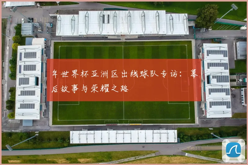 年世界杯亚洲区出线球队专访:幕后故事与荣耀之路