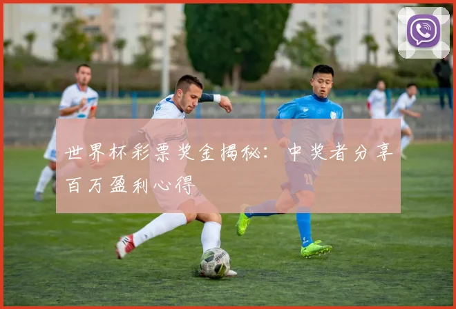 世界杯彩票奖金揭秘：中奖者分享百万盈利心得