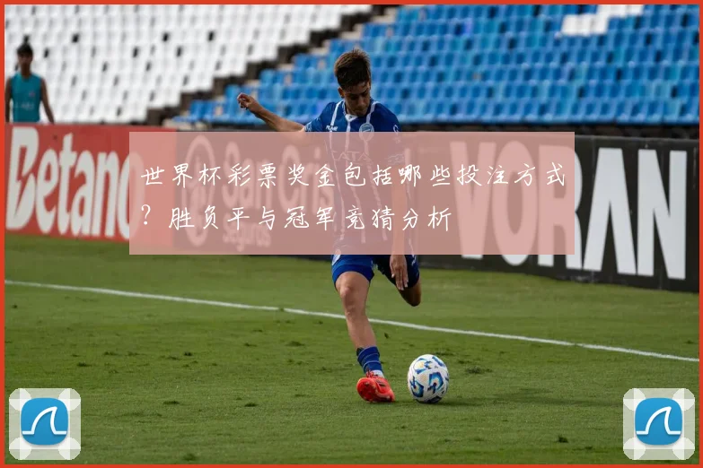 世界杯彩票奖金包括哪些投注方式？胜负平与冠军竞猜分析