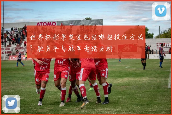 世界杯彩票奖金包括哪些投注方式？胜负平与冠军竞猜分析