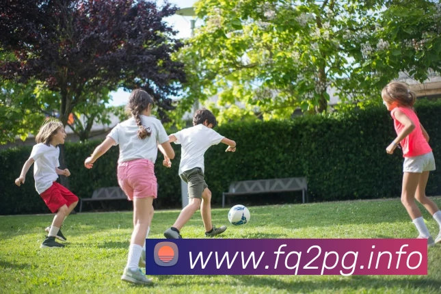 多媒体互动体验